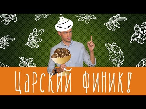 Видео: Правда ли финики полезнее сахара?