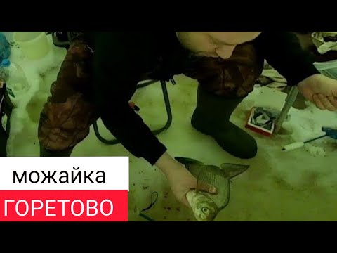 Видео: Два дня на Можайком вдхр. Отводной спас всю рыбалку.