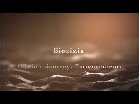 Видео: Обмін глікогену. Глюконеогенез. Біохімія