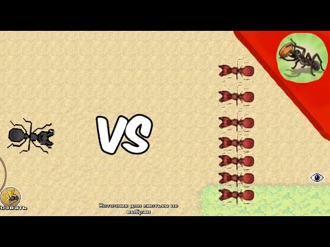 Видео: 🐜Pocket ants|убил красных муравьев🟥 #skopa #мем #video #pocketants #ants #игры #gaming #memes