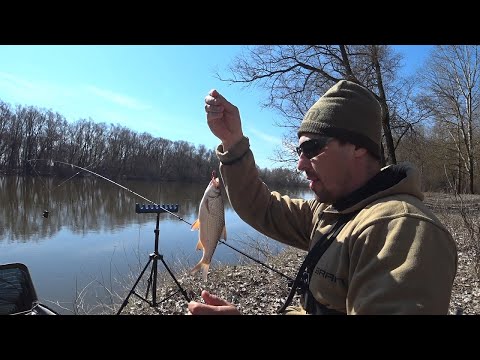 Видео: Фидер в Апреле. Ловля Плотвы