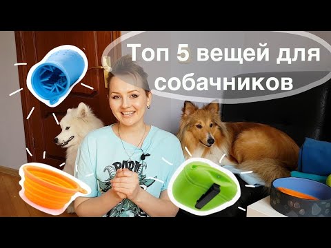 Видео: 5 вещей для собачника, которые облегчают жизнь