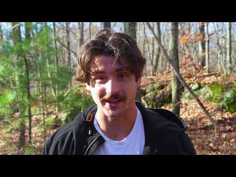 Видео: Когда следует кому-то доверять?