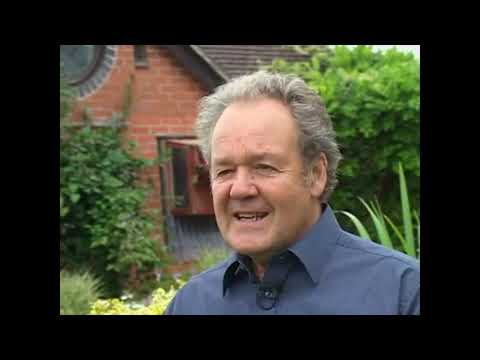 Видео: николаевские голуби   линька голубей как можно замедлять или ускорять ее 1 часть