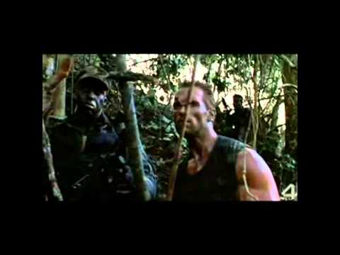 Видео: Серая Шейка