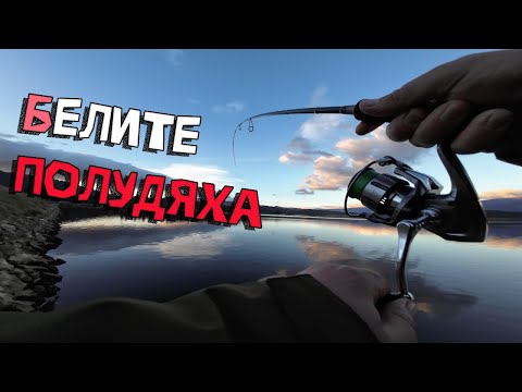 Видео: Уцелих захода! Бели риби от брега.