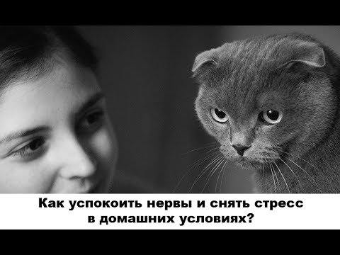 Видео: Как успокоить нервы и снять стресс в домашних условиях?