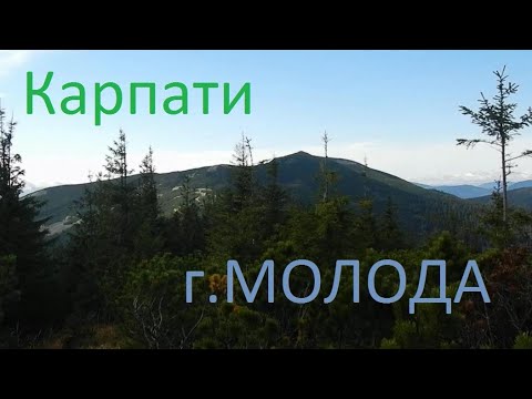 Видео: Похід в Карпати. Осмолода- г. Молода- г. Яйко Перегінське. Горгани.