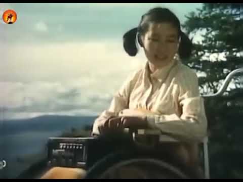 Видео: Б.Шарав "Манан"