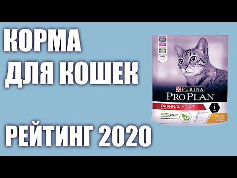 Видео: ТОП—7. Лучшие корма для кошек (сухие и влажные). Рейтинг 2020 года!