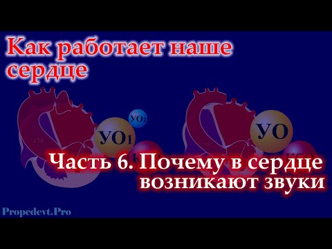 Видео: Как работает наше сердце. Часть 6. Почему в сердце возникают звуки?