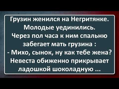 Видео: Грузин Взял Себе в Жены Негритянку! Подборка Лучших Анекдотов Синего Предела