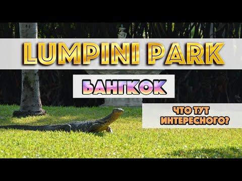 Видео: ИДЁМ СМОТРЕТЬ ВАРАНОВ/ ЕДЕМ В ТЕРМИНАЛ 21 И BIG C/ ТАЙЛАНД 2022