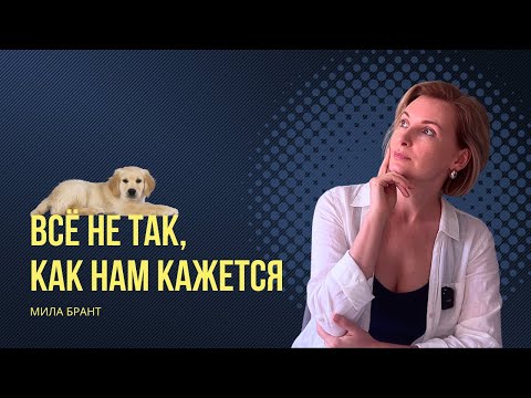 Видео: Всё не так, как нам кажется! Откуда происходит мир и наше видение?