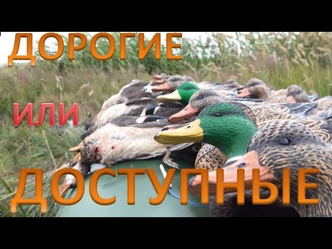 Видео: Отличная охота с доступными чучелами. НА ОХОТЕ С ЧУЧЕЛАМИ УТОК SOFTPLAST + Розыгрыш чучел
