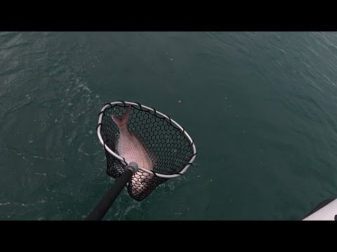 Видео: Насадки для снаппера Happy Fisherman EP148 от Мика и Silver Whiting