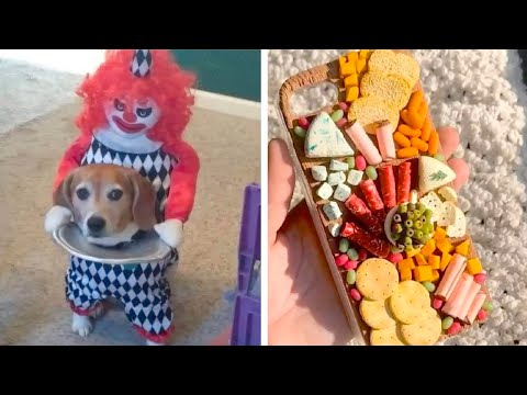 Видео: Фото, от которых челюсть отвиснет