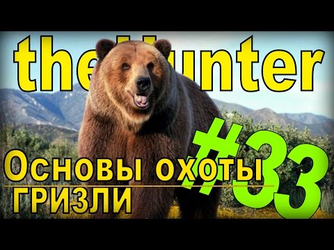 Видео: theHunter- Гризли [Основы охоты] #33