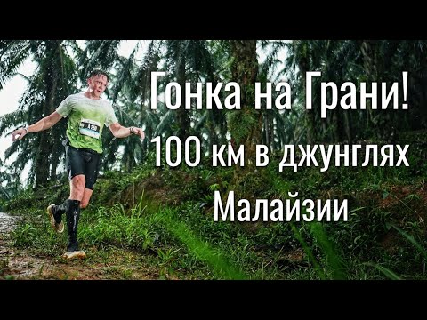 Видео: Ультратрейл в Малайзии. Оказался без фонаря в джунглях.