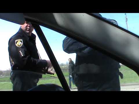 Видео: Вольногорские семкогрызы Андруцкий и Пробыйголова чудят