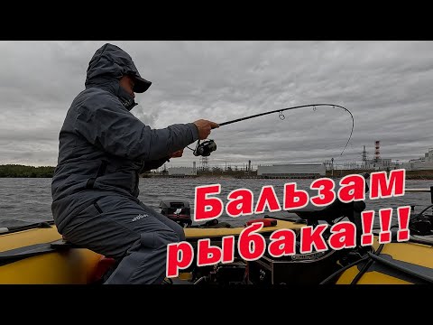 Видео: ПРОСТОЙ СПОСОБ ВЫЛЕЧИТЬ РЫБАКА!!! СТАВИМ ПРИМАНКИ ПО БОЛЬШЕ!!!