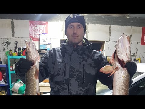 Видео: Roger Sfera и Hidea 9.9.