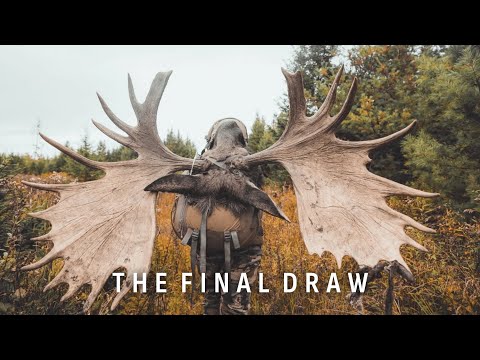 Видео: ФИНАЛЬНАЯ ЖЕРЕБЬЕВКА - РЕКОРД ШТАТА МЭН ПО СТРЕЛЬБЕ ИЗ ЛУКА