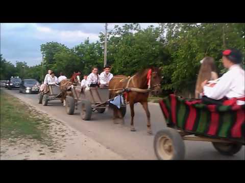 Видео: С новым годом! Бутор | ПМР