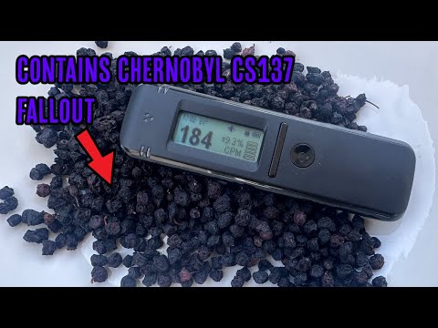 Видео: Тестирование радиоактивной чернобыльской черники