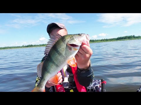 Видео: Рыбалка на окуня|Ловля окуня на джиг|Рыбалка в Беларуси|Часть2