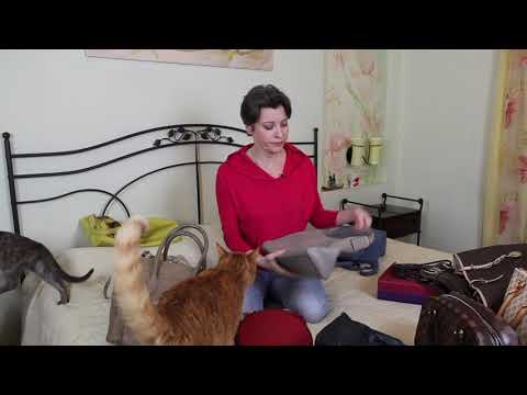 Видео: МОИ СУМКИ. БРЕНДОВЫЕ И НЕ ОЧЕНЬ )))