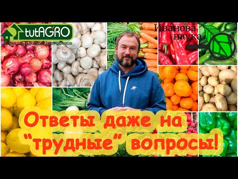 Видео: О СЕМЕНАХ ТОМАТА БЕЗ ИСТЕРИК, КТО ЗАКАЗЫВАЕТ РЕКЛАМУ и еще 9 ОТВЕТОВ НА ВОПРОСЫ к ИВАНОВОЙ НАУКЕ.