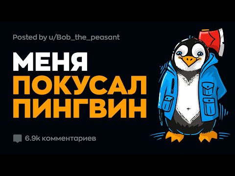 Видео: Невероятные Истории из Жизни