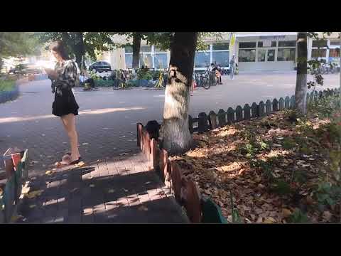Видео: Влог Я вже в Борисполі.Готую вперше сливовий соус смакота.