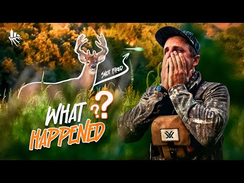 Видео: Огромный бархатный олень MIDWEST (это было ОТВРАТИТЕЛЬНО!!)