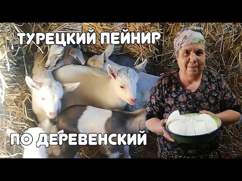 Видео: Выпросила рецепт КОЗЬЕГО СЫРА у турецкой бабушки. Брынза/peynir.