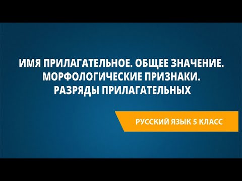 Видео: Имя прилагательное. Общее значение. Морфологические признаки. Разряды прилагательных