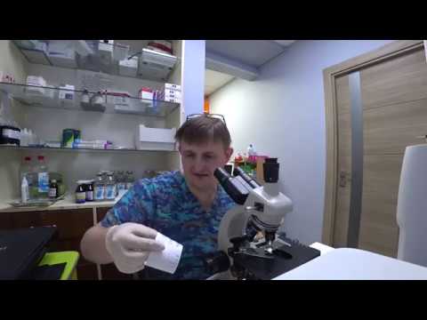 Видео: Зачем делать коту анализ мочи?