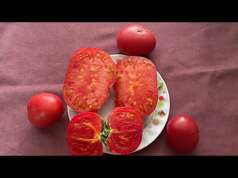 Видео: Берем семена с томатов и дегустируем. 