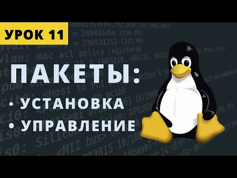 Видео: Установка и управление пакетами в CentOS. Урок 11.