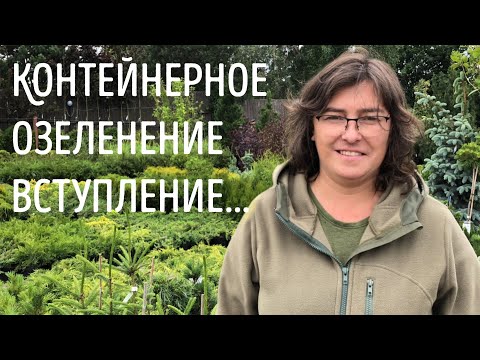 Видео: Контейнерное озеленение. Вступление...