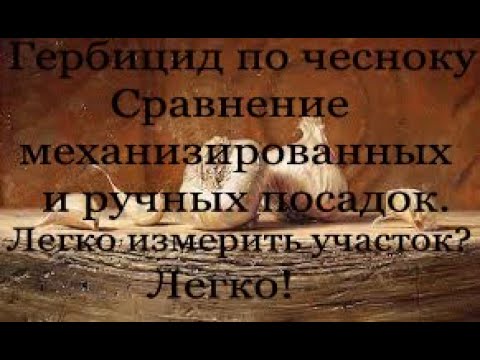 Видео: Гербицид Стомп по чесноку. Обзор механизированной и ручной посадки. Чем легко измерить участок.