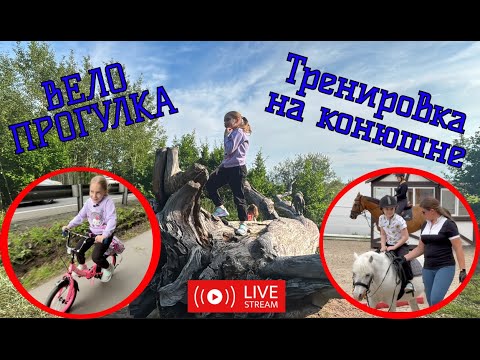 Видео: Первая тренировка на лошади и велопрогулка за город