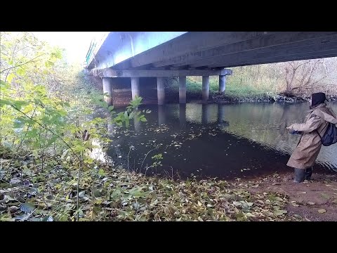 Видео: Рыбалка на донки. Ловля налима в октябре.