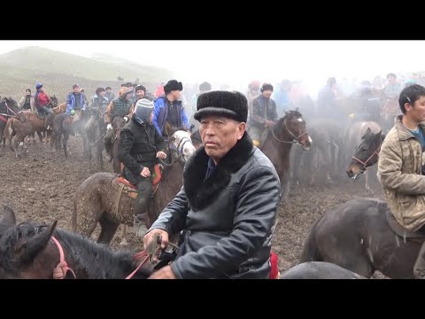Видео: 02.03.2024 Қазығұрт Ащыбұлақ елді мекені Сәрсеновтар әулеті Шералы атамыздың дүбірлі көкпар тойы