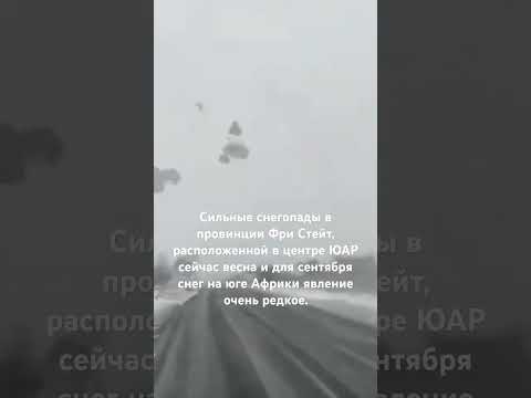 Видео: #news #новостисегодня #юар #снег