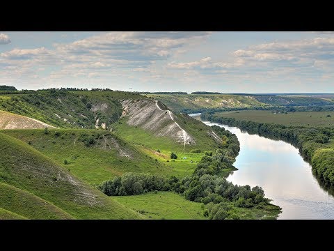 Видео: Сторожевое