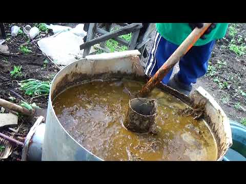 Видео: Сделайте ТАК, - и урожай смородины и крыжовника  РЕАЛЬНО  Вас порадует!!