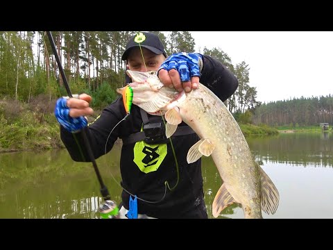 Видео: Щука це любить! Кращі приманки на щуку! Сезон хижака відкритий!