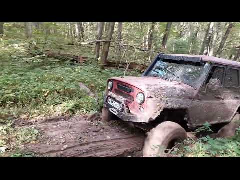 Видео: Тест драйв Wanda Digger claw 